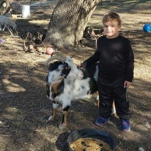 Meet your Posher, Crystal lea